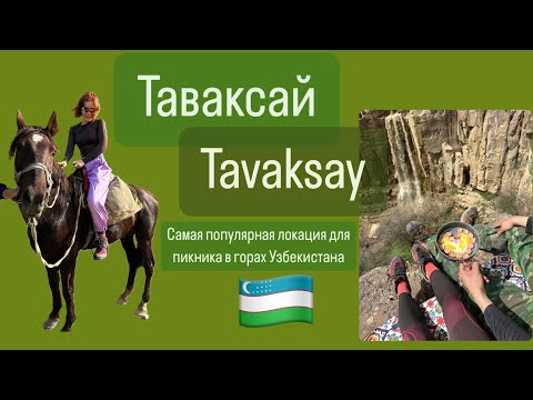 Видео: Пикник в Таваксае//простой и бюджетный отдых в #узбекистане #ташкент #tovoksoy