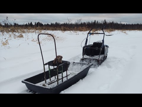 Видео: ПОЕХАЛ В ТАЙГУ НА МОТОСОБАКЕ И СЛОМАЛСЯ! Мотобуксировщик подвёл?
