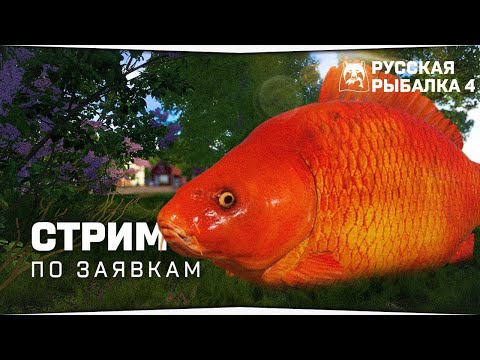 Видео: Русская Рыбалка 4 - Стрим на заказ • (подробности в описании)