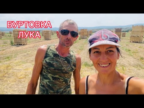 Видео: Самая ТЯЖЁЛАЯ работа в поле/ Буртовка лука 🧅