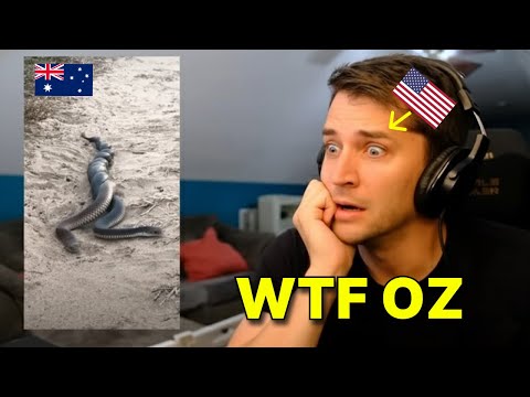 Видео: Американец реагирует на TikTok, который есть ТОЛЬКО В АВСТРАЛИИ
