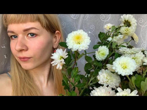 Видео: пукпук