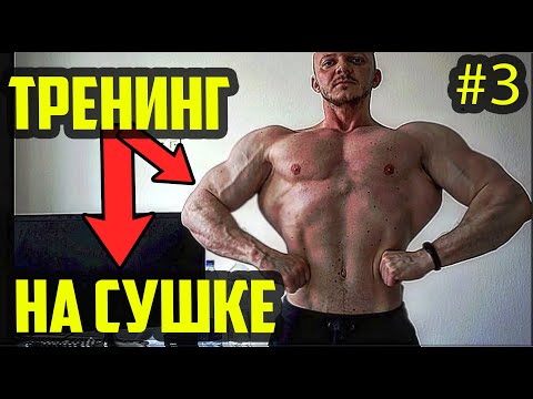 Видео: ТРЕНИНГ - ЖИРОСЖИГАНИЕ ПО НИКУЛИНУ | 3 часть из 5 | ТРЕНИНГ НА СУШКЕ ТЕЛА | ТРЕНИРОВКА ПРИ ПОХУДЕНИИ