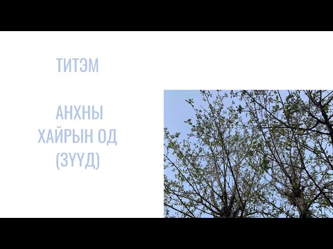 Видео: ТИТЭМ - АНХНЫ ХАЙРЫН ОД (ЗҮҮД)  ДУУНЫ ҮГ