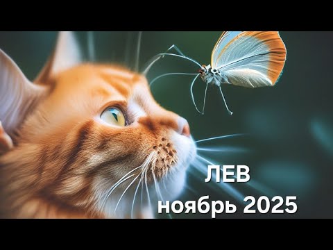Видео: ЛЕВ ❤️ ноябрь 2025 ❤️