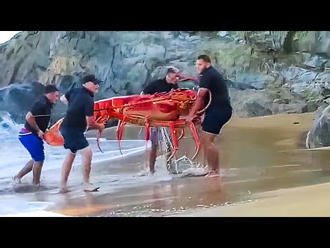 Видео: 50 НЕВЕРОЯТНЫХ МОМЕНТОВ, СНЯТЫХ НА КАМЕРУ