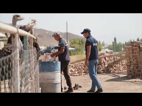 Видео: Бел айылы Менин айылым Ноокат Ош