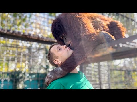 Видео: Сколько НЕЖНОСТИ! Дана целует, отряхивает и делает массаж любимому папе! ТОЛЬКО НЕ УХОДИ БОЛЬШЕ!
