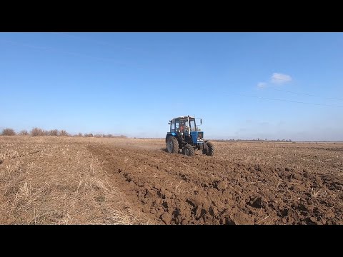 Видео: МТЗ 82 вспашка огородов старинным плугом