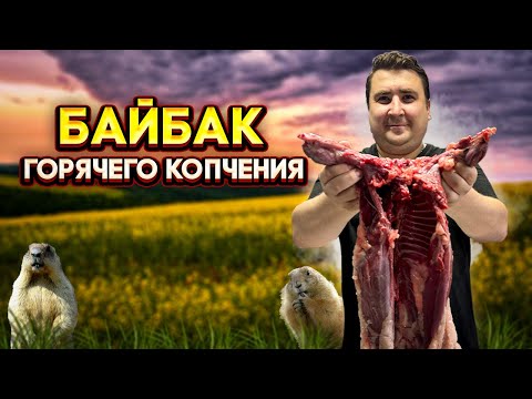 Видео: БАЙБАК ГОРЯЧЕГО КОПЧЕНИЯ. КАК ПРАВИЛЬНО ЗАСОЛИТЬ ДИКОЕ МЯСО.