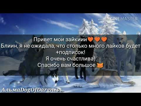 Видео: Мои идеи для обновления в WildCraft 2 часть