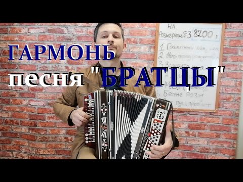 Видео: Песня БРАТЦЫ на гармони И ИНФА по РОЗЫГРЫШУ №3