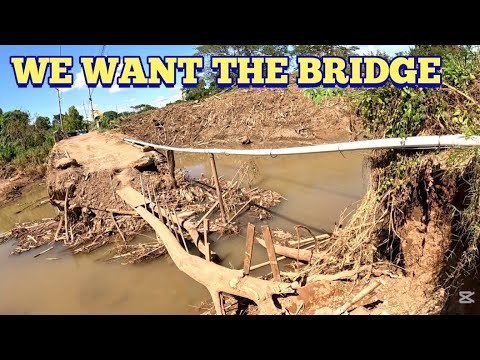 Видео: Ураган Мелисса разрезал кустарниковый парк на две части (общественные усилия по строительству вре...