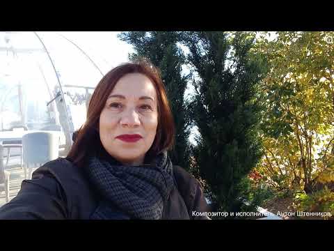 Видео: Солнечное утро.Парк 300 - летия Санкт - Петербурга. Витаминница.