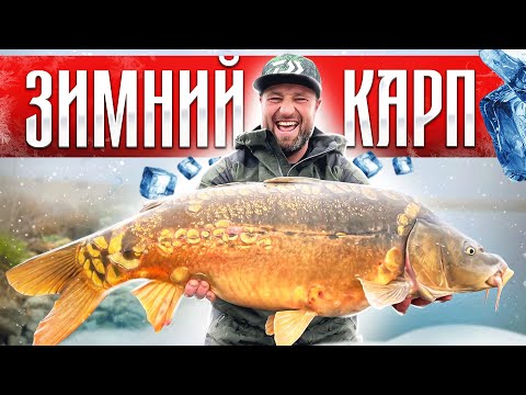 Видео: ЗИМНИЙ КАРПФИШИНГ!