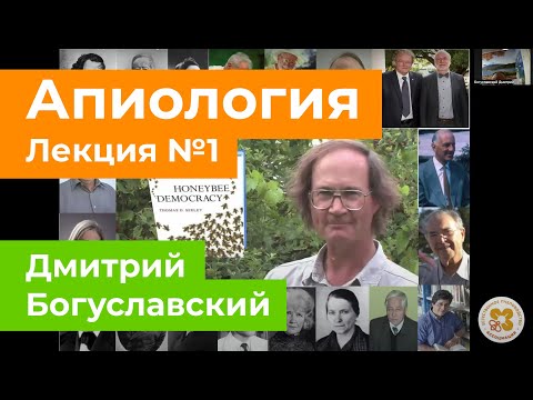 Видео: Апиология. Лекция 1. Дмитрий Богуславский