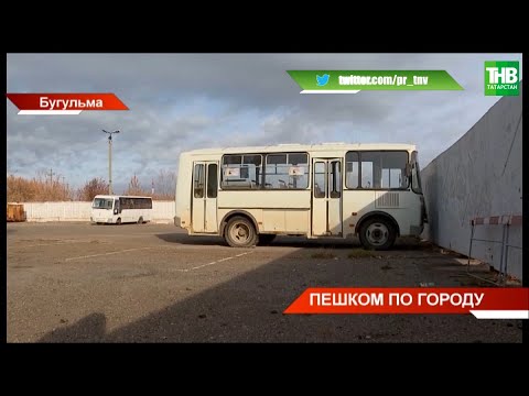 Видео: 🚍 Транспортный коллапс в Бугульме - в 80-тысячном городе не ездит ни один автобус | ТНВ