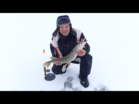 Видео: Водоём Ивановка.Жерлицы.Рыбалка с ночёвкой.