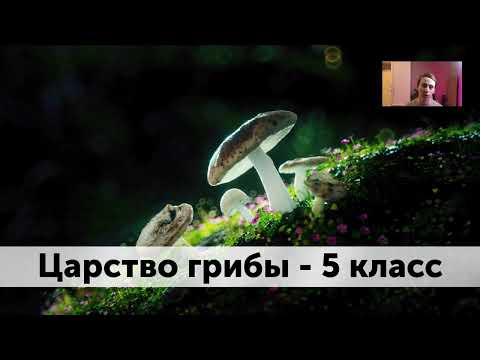 Видео: Царство "Грибы" 5 класс