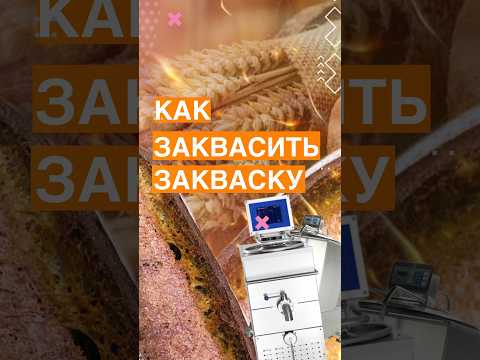 Видео: ЗАКВАСКА. КАК ВЫВЕСТИ И ИСПОЛЬЗОВАТЬ ДОЛГОЕ ВРЕМЯ.