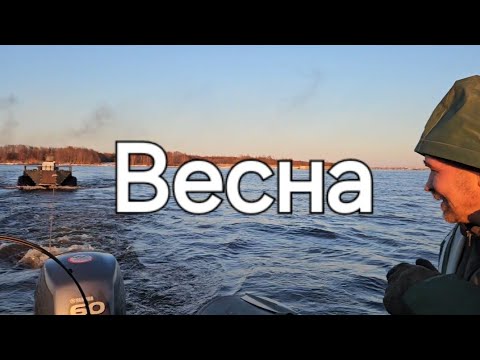 Видео: Испытания нового вездехода с Kubota D1105 ч.3