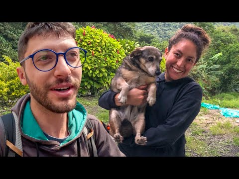 Видео: Fun Познакомьтесь с семьей моего колумбийского друга! Я гонялся за цыплятами на ферме!
