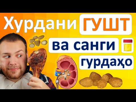 Видео: Гурда. Хурдани гушт ва пайдошавии санг дар гурда.