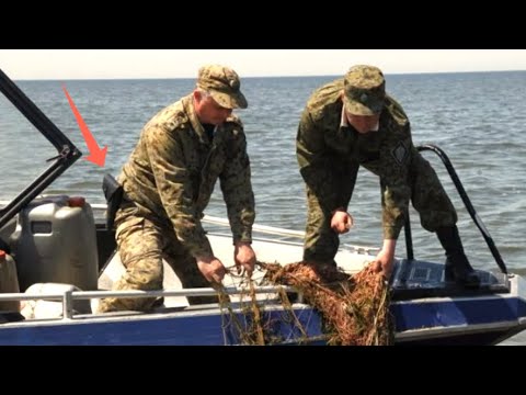 Видео: НЕОБЫЧНЫЕ СЛУЧАИ НА РЫБАЛКЕ 2024 / ШОК РЫБАЛКА / БРАКОНЬЕРЫ НА РЫБАЛКЕ / ПЬЯНЫЕ НА РЫБАЛКЕ / рыбалка