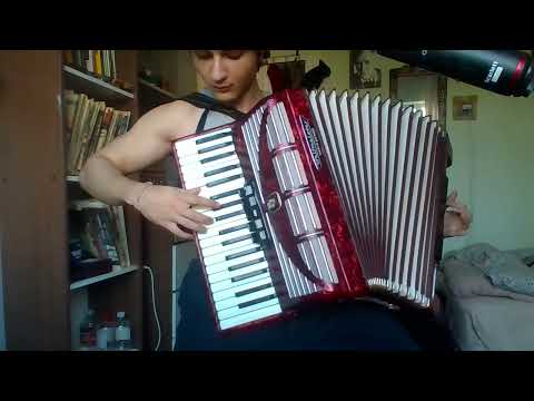 Видео: Марк Берне́с - Журавли́ (Cranes) (Accordion Cover)