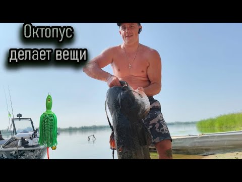 Видео: в поисках трофейного сома , улыбнулась удача трофей пойман