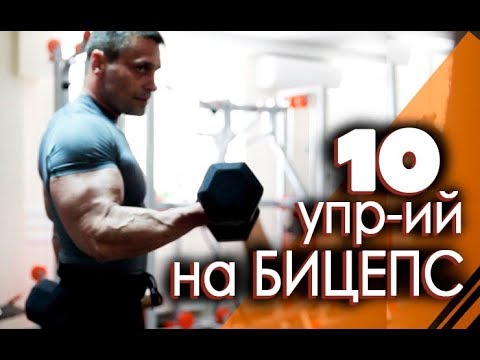Видео: 10 ЛУЧШИХ УПРАЖНЕНИЙ НА БИЦЕПС! Как накачать бицепс и предплечье гантелями?