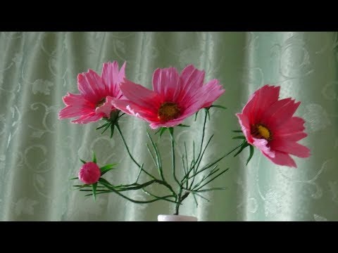 Видео: КОСМЕЯ ИЗ ХОЛОДНОГО ФАРФОРА  (COSMOS)