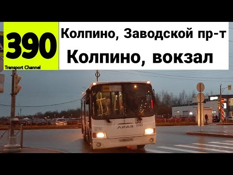 Видео: Автобус 390 "Колпино, Заводской проспект - Колпино, вокзал" ЛиАЗ-5293.60 б/н 3783