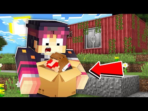 Видео: МАҒАН МЫНА ҚОРҚЫНЫШТЫ КОРОБКАЛАРДЫ КІМ ЖІБЕРДІ қазақша майнкрафт казакша дейлин