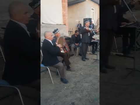 Видео: Суюн толлеив ургут туманида нахор.