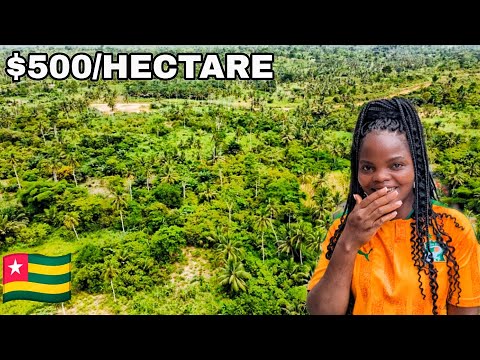 Видео: ПОКУПКА ДЕШЕВЫХ СЕЛЬСКОХОЗЯЙСТВЕННЫХ УГОДИЙ В ТОГО ДЛЯ ВЫРАЩИВАНИЯ ФРУКТОВ. ЧТО НУЖНО ЗНАТЬ ПЕРЕД...