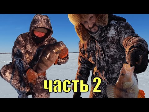 Видео: За ТРОФЕЙНЫМ ОКУНЕМ в тайгу ХМАО-Югры-3, часть2. Новый рекорд!