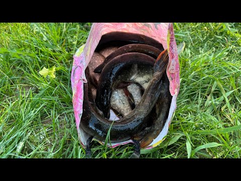 Видео: Рыбалка на спиннинг. Ловля щуки на блесну вертушку. Рыбалка с лодки. Щука травянка на блесну. Блесна