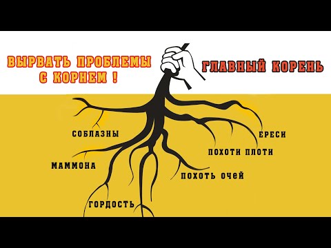 Видео: Корень всех проблем