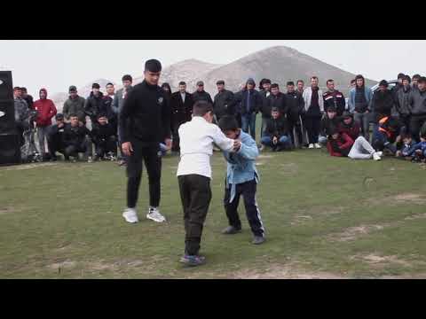 Видео: кураш 2022