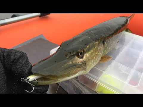 Видео: Закрываю лодочный сезон 2021