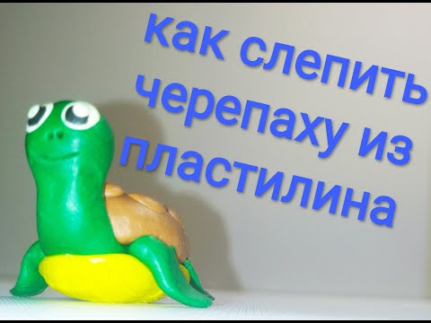 Видео: Как слепить черепаху из пластилина/ How to mold a turtle from plasticine 🐢