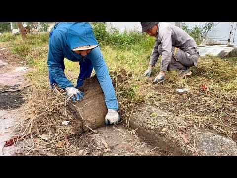 Видео: Они говорят, что мы чистим тротуары бесплатно, это ложь - Чистый грязный тротуар