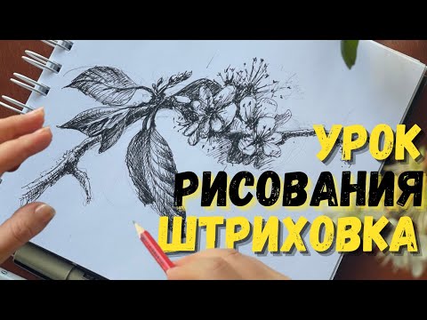 Видео: 🐛Мастер-класс - Как рисовать цветы, листья и ветки | Основы рисунка за 30 минут ✍️| Real-time Lesson