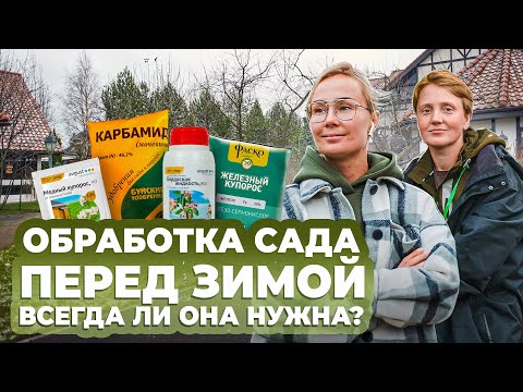 Видео: Обработка сада перед зимой. Всегда ли она нужна?