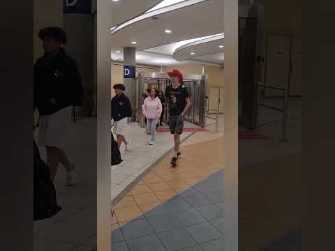 Видео: Встреча дочки и котов  в 🇨🇦
