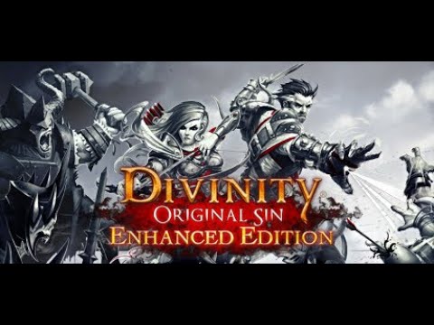 Видео: Обзор игры: Divinity "Original Sin" (Enhanced Edition) 2015.
