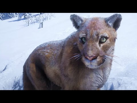 Видео: Симулятор Жизни Зверей #2 Пума зимой в лесу. Охота Кида на диких животных RDR2 на пурумчата