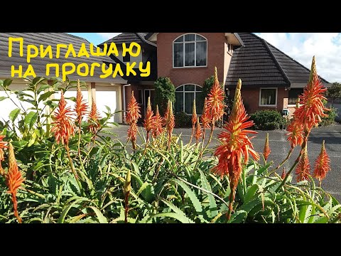 Видео: ДОМА В НОВОЙ ЗЕЛАНДИИ. ПРИГЛАШАЮ ПОСМОТРЕТЬ