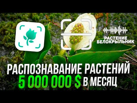 Видео: 5 000 000 $ в месяц на мобильном приложении для любителей растений и сада. Разбор от разработчика